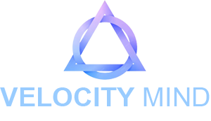 VelocityMind — Information Technology Company